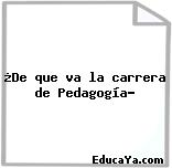 ¿De que va la carrera de Pedagogía?