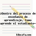 ¿Dentro del proceso de enseñanza de aprendizaje. Como aprende el estudiante?