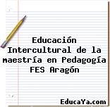 Educación Intercultural de la maestría en Pedagogía FES Aragón