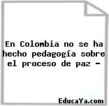 En Colombia no se ha hecho pedagogía sobre el proceso de paz …