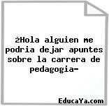 ¿Hola alguien me podria dejar apuntes sobre la carrera de pedagogia?