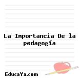 La Importancia De la pedagogía