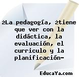 ¿La pedagogía, ¿tiene que ver con la didáctica, la evaluación, el curriculo y la planificación?