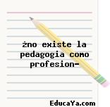 ¿no existe la pedagogia como profesion?