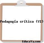 Pedagogía crítica (VI)