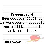 Preguntas & Respuestas: ¿Cuál es la verdadera pedagogía que utilizas en el aula de clase?