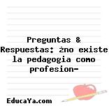 Preguntas & Respuestas: ¿no existe la pedagogia como profesion?