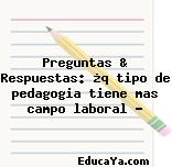 Preguntas & Respuestas: ¿q tipo de pedagogia tiene mas campo laboral ?