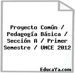 Proyecto Común / Pedagogía Básica / Sección A / Primer Semestre / UMCE 2012