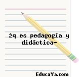 ¿q es pedagogía y didáctica?