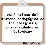 ¿Qué opinan del sistema pedagógico de los colegios y universidades en Colombia?