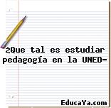 ¿Que tal es estudiar pedagogía en la UNED?