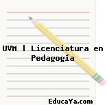 UVM | Licenciatura en Pedagogía