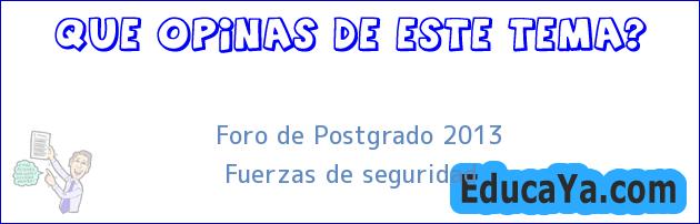 Foro de Postgrado 2013 | Fuerzas de seguridad