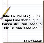 Adolfo Carafí: «Las oportunidades que Corea del Sur abre a Chile son enormes»