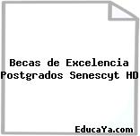 Becas de Excelencia Postgrados Senescyt HD