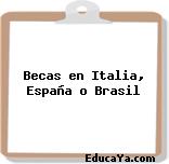 Becas en Italia, España o Brasil