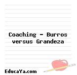 Coaching – Burros versus Grandeza