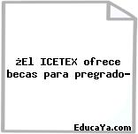 ¿El ICETEX ofrece becas para pregrado?