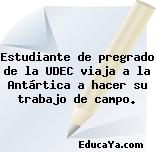 Estudiante de pregrado de la UDEC viaja a la Antártica a hacer su trabajo de campo.