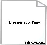 Mi pregrado fue…