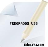 PREGRADOS USB