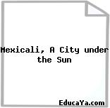 Mexicali, A City under the Sun