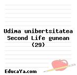 Udima unibertsitatea Second Life gunean (29)