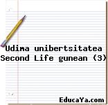 Udima unibertsitatea Second Life gunean (3)