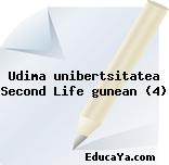 Udima unibertsitatea Second Life gunean (4)