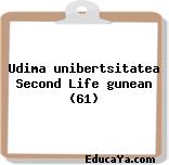 Udima unibertsitatea Second Life gunean (61)