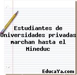 Estudiantes de Universidades privadas marchan hasta el Mineduc