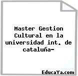 Master Gestion Cultural en la universidad int. de cataluña?