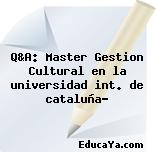 Q&A: Master Gestion Cultural en la universidad int. de cataluña?